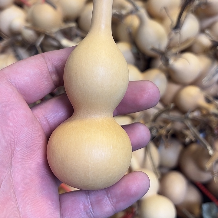 用***3有机玻璃蚂蚁蚂蚁蚂蚁蚂蚁