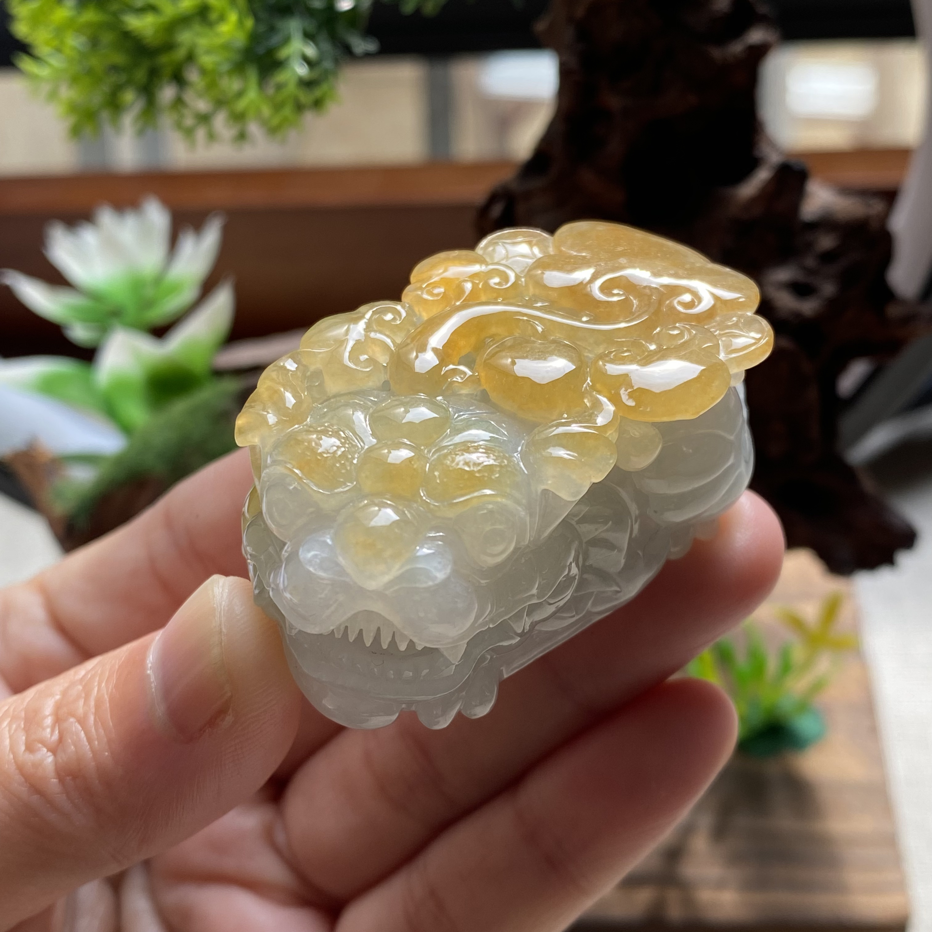 自然光拍摄天然翡翠A货冰润黄翡口含珠招财貔貅吊坠