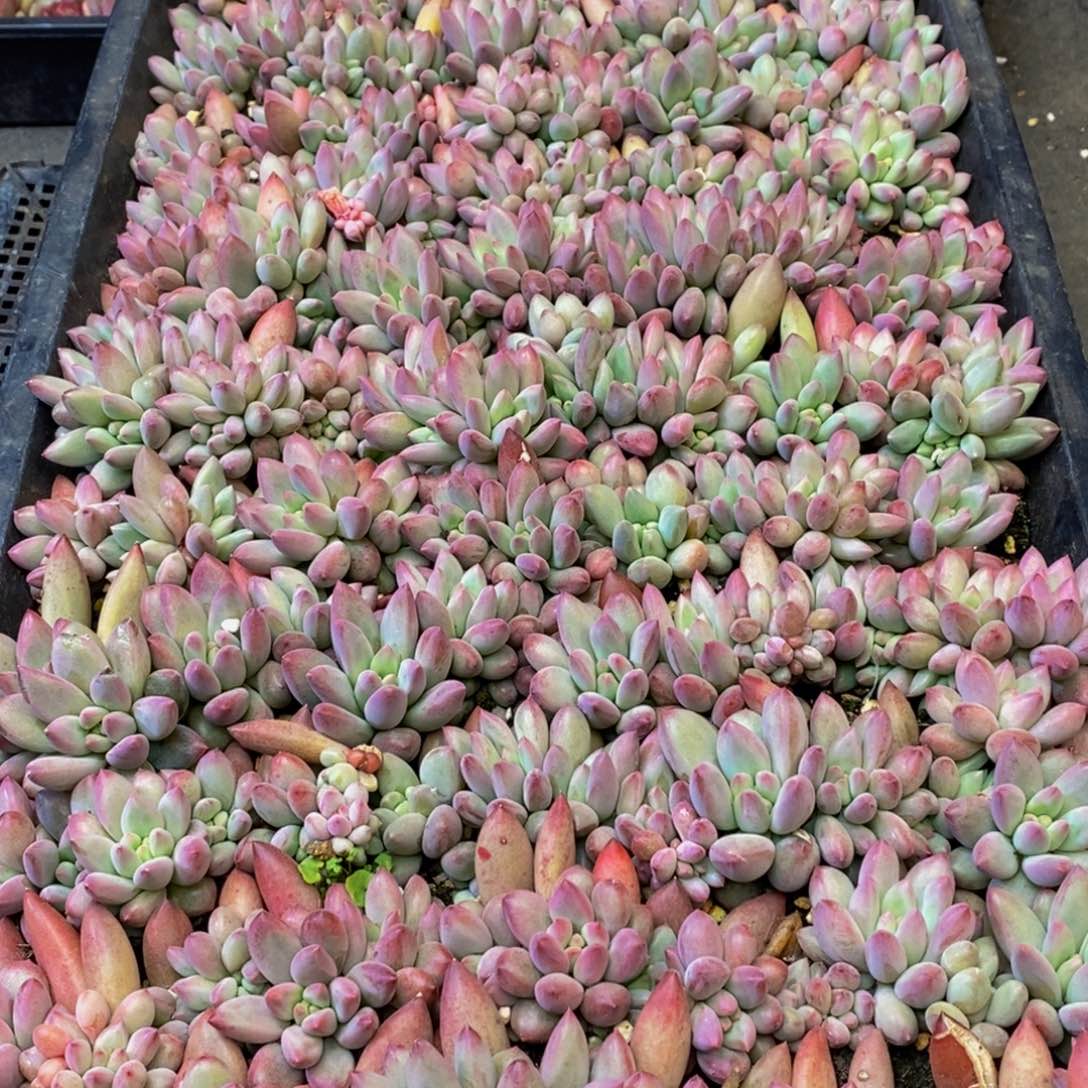 豆*芽758的人在一起了。我是