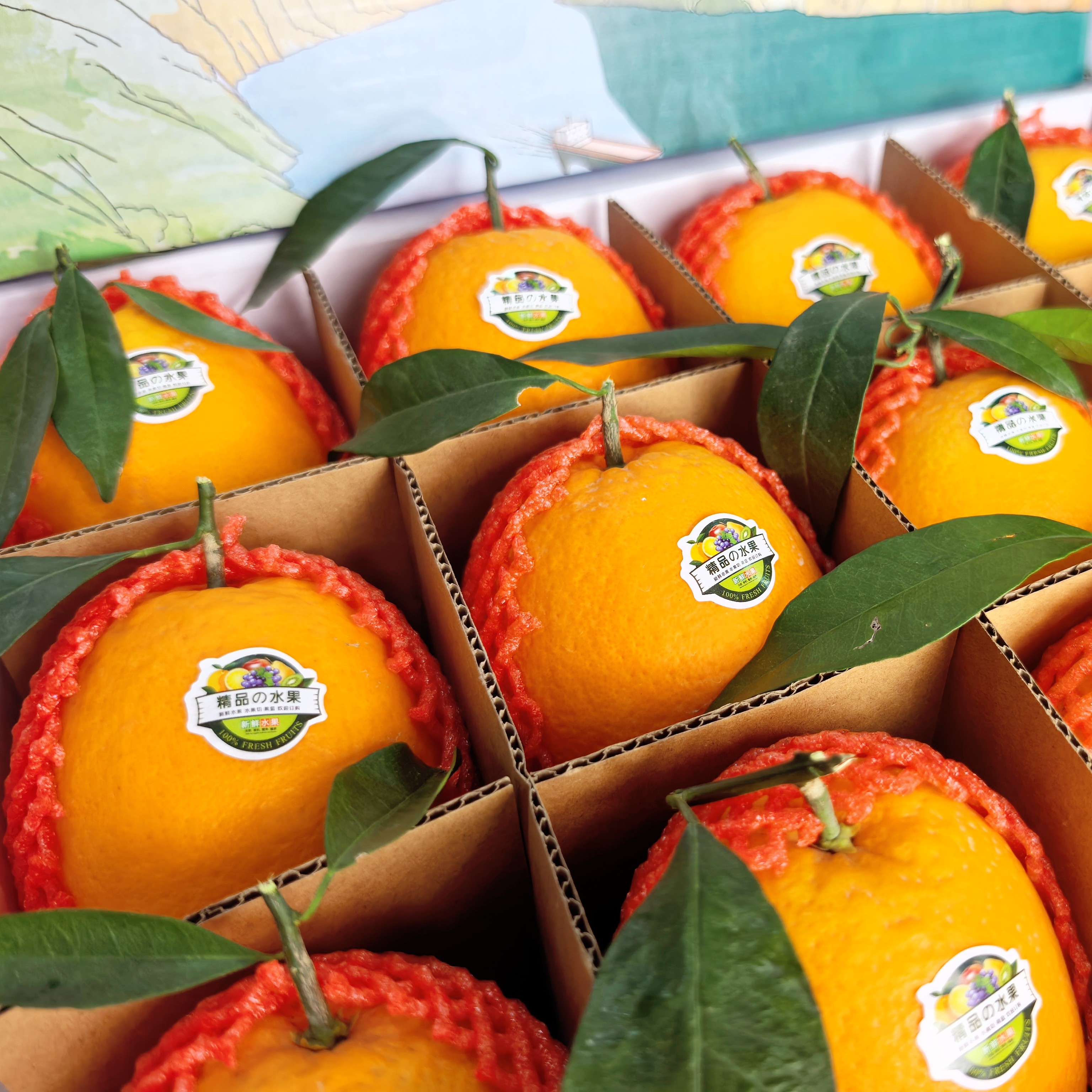 正宗奉节脐橙江边纽荷尔新鲜采摘礼盒装送领导送朋友