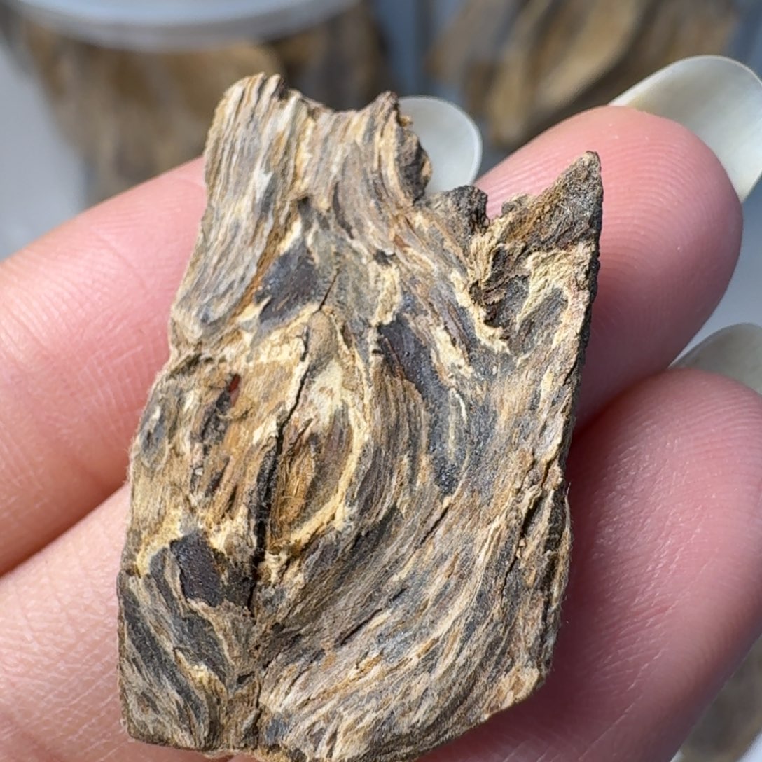 沉香碎屑沉香海南沉水虎斑棋