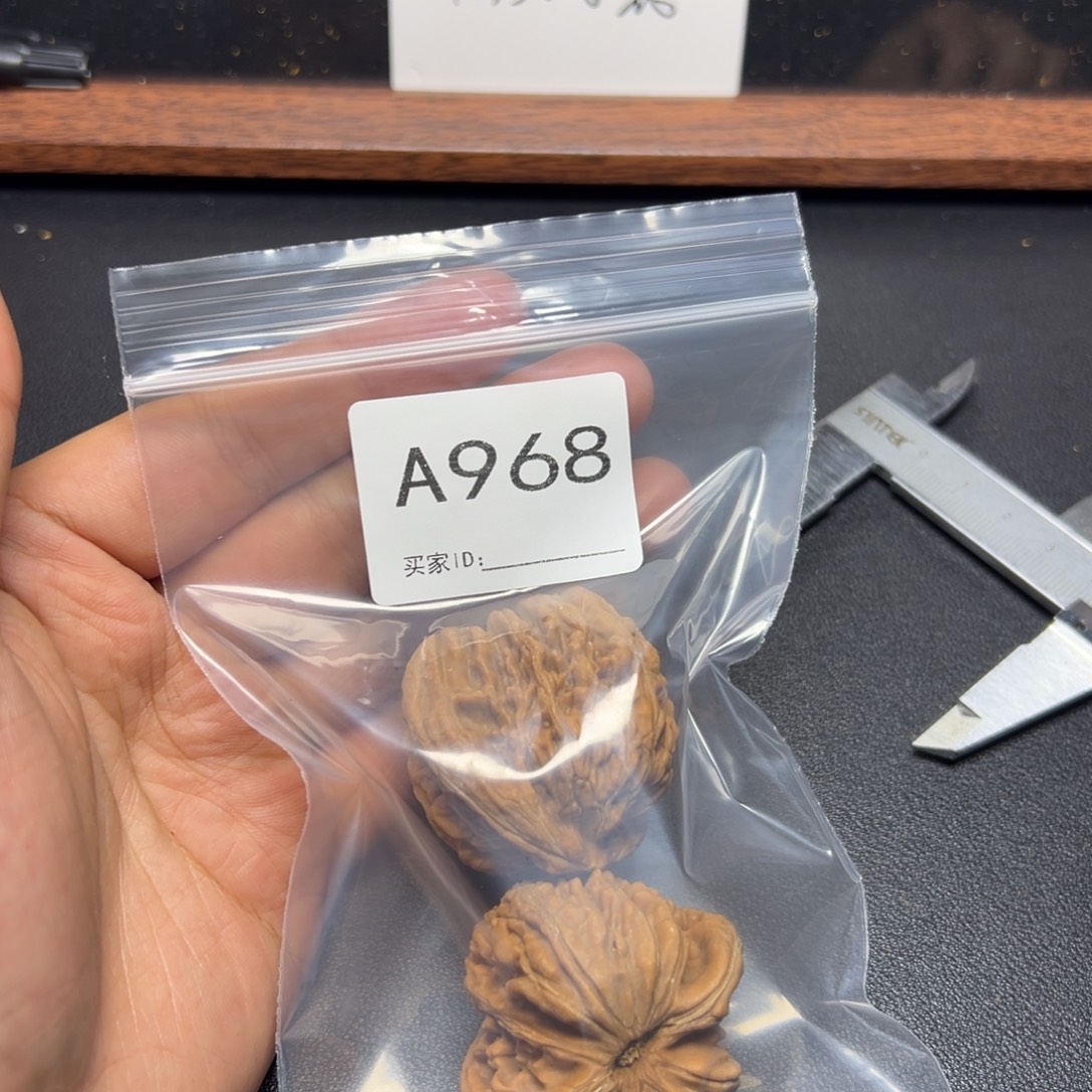 哈哈哈哈我的小可爱