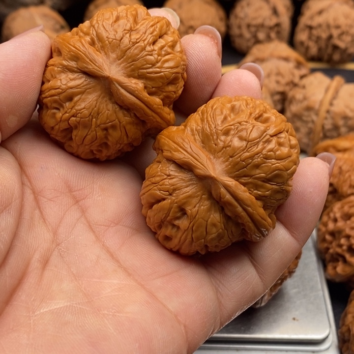 微修44新果大元宝