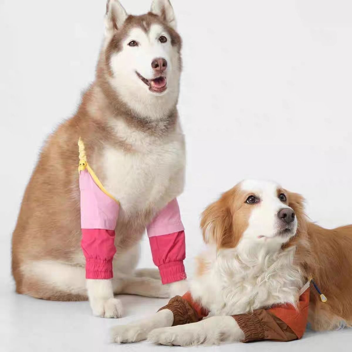 狗狗护膝中大型犬金毛萨摩关节防磨防脏保护套宠物前腿袖套护肘衣