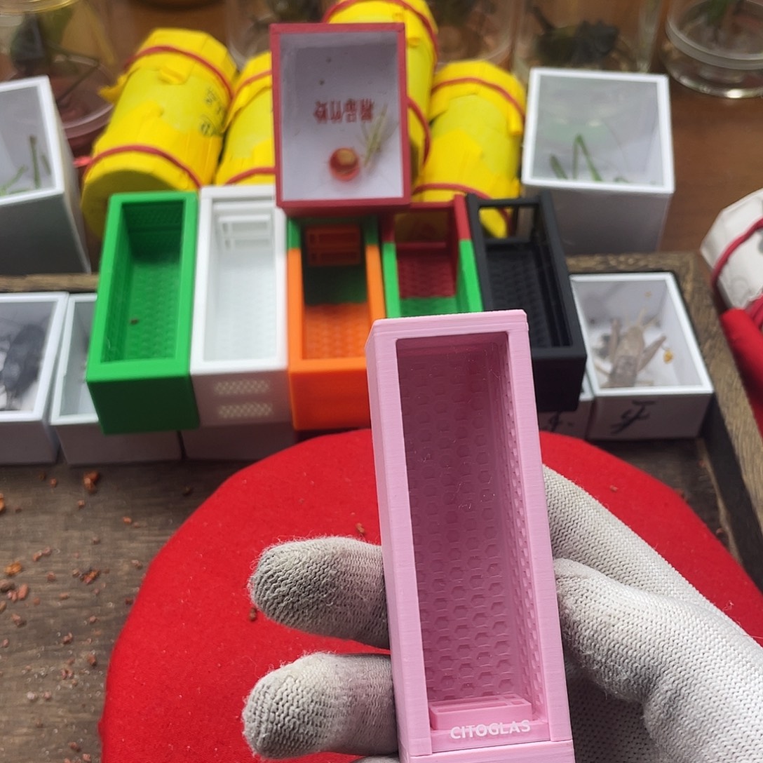 *****蟋蟀粉色猪苓盒啊啊啊