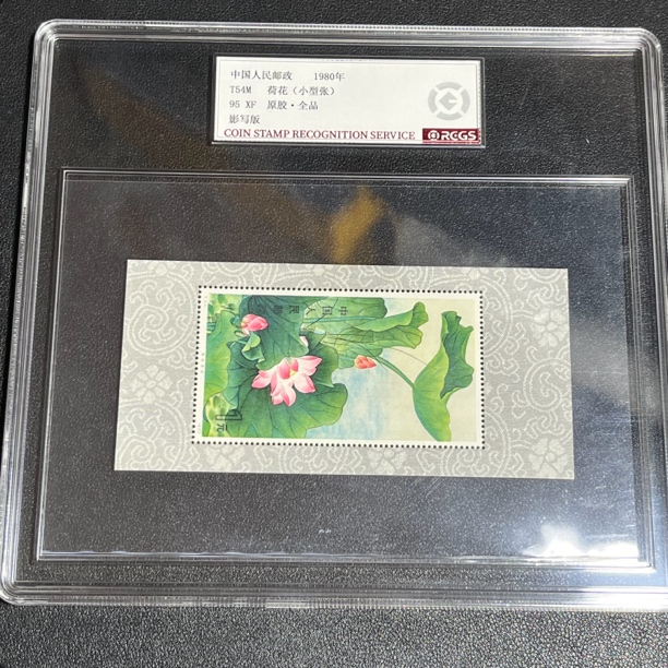 T54M荷花1980年发行95原胶全品中钱国信评级