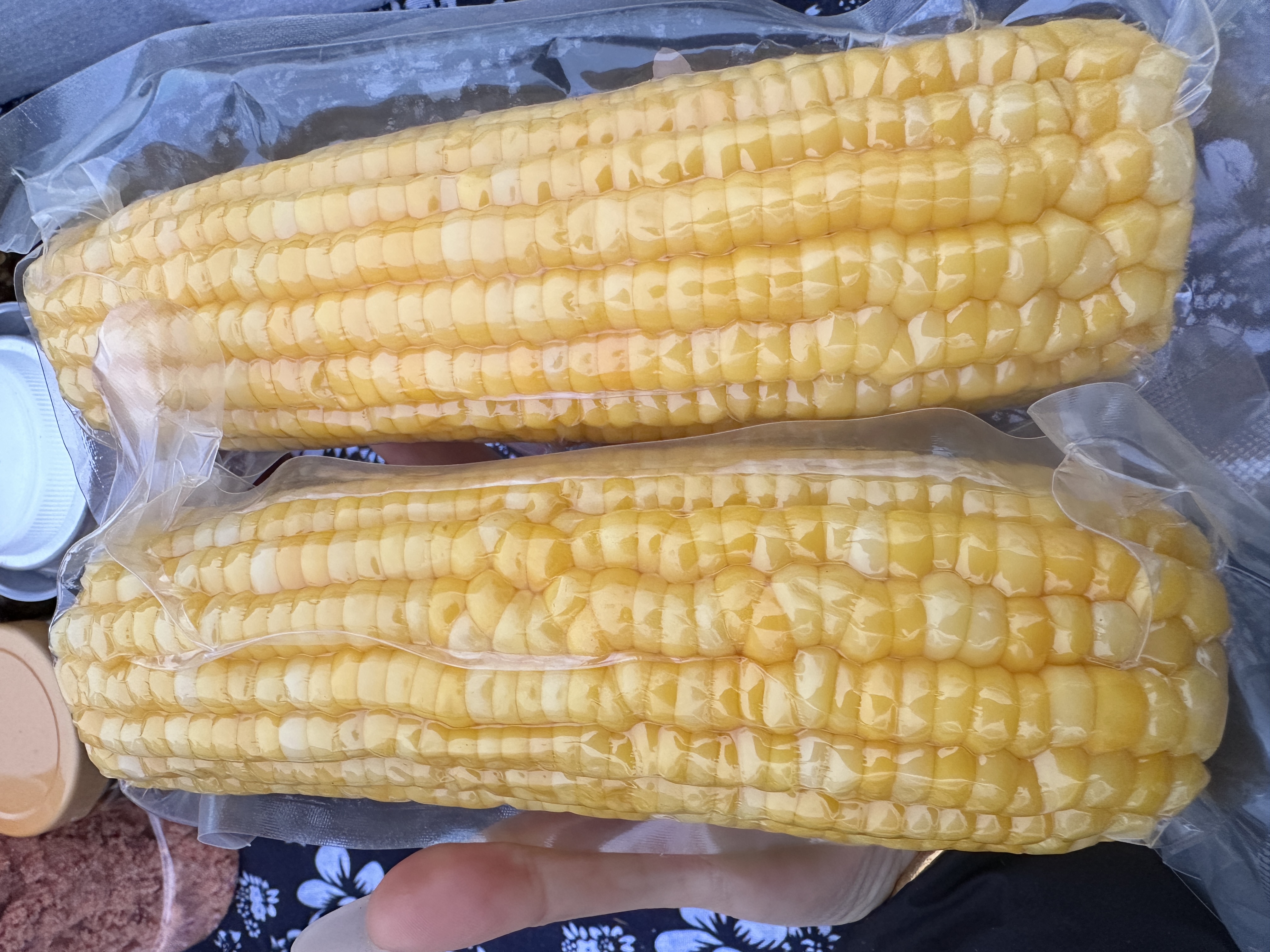 湘西农家水果玉米