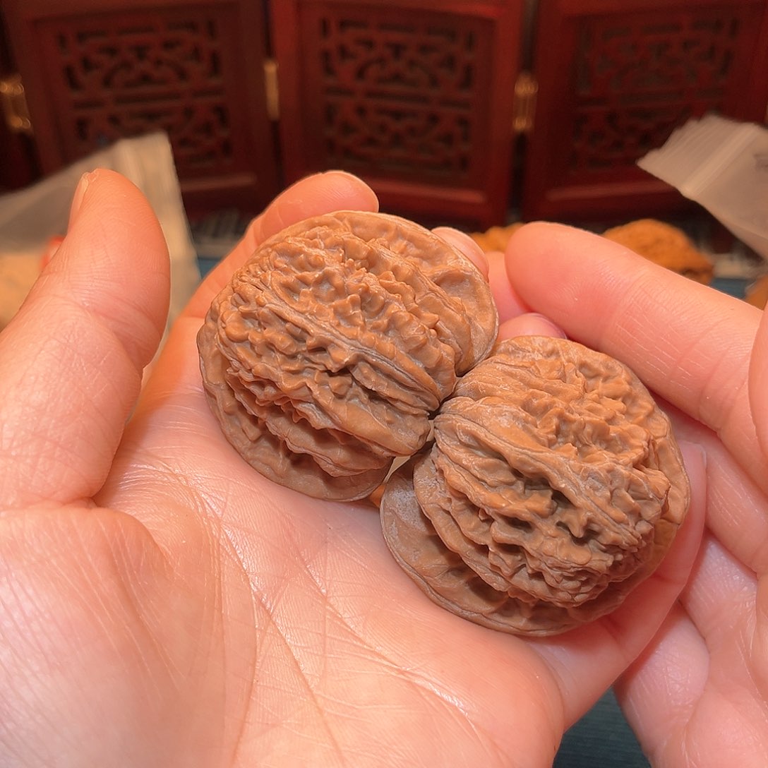 ⁵****45.5全品四座楼……福利