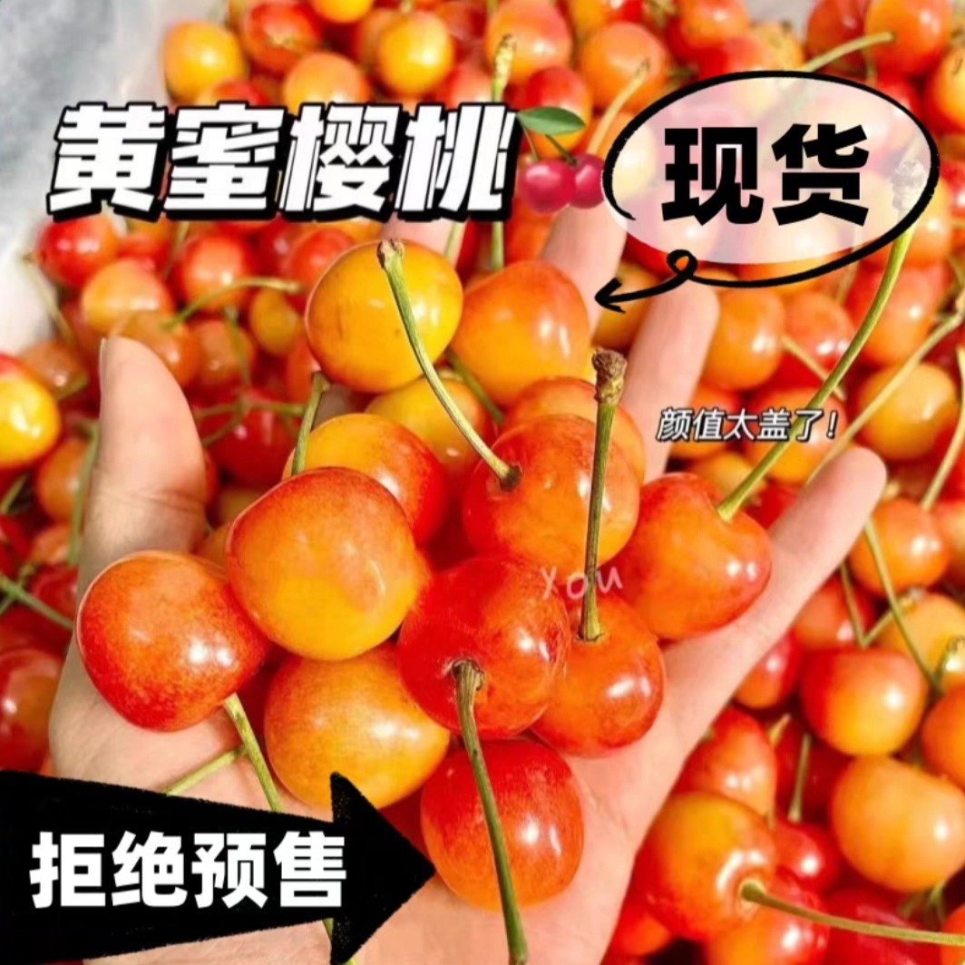 [顺丰京东快递]山东露天黄蜜黄水晶大樱桃软糯香甜红水晶樱桃