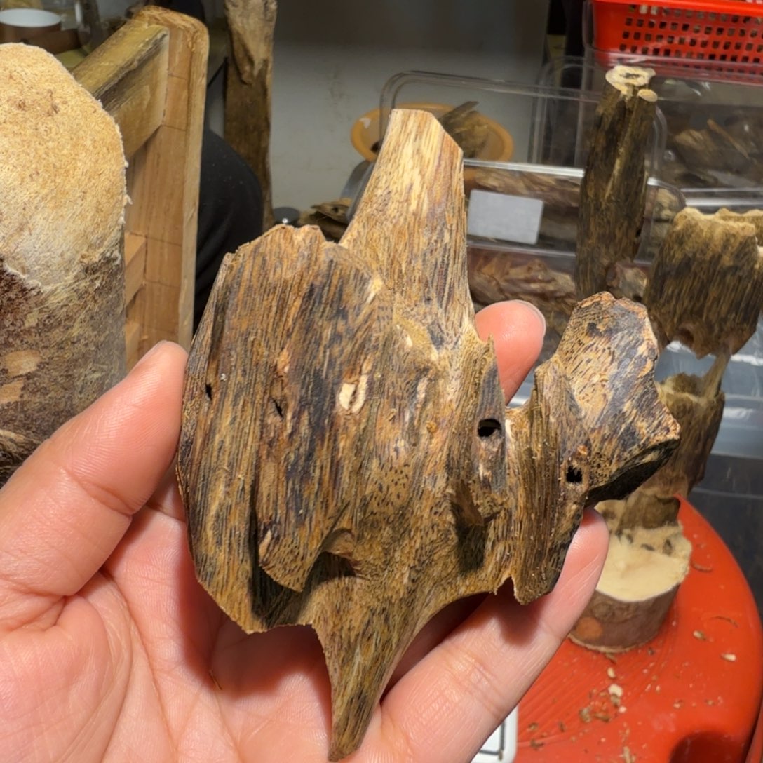 白奇沉香块料沉香