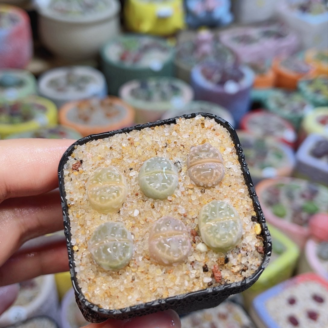 762。88888888888888