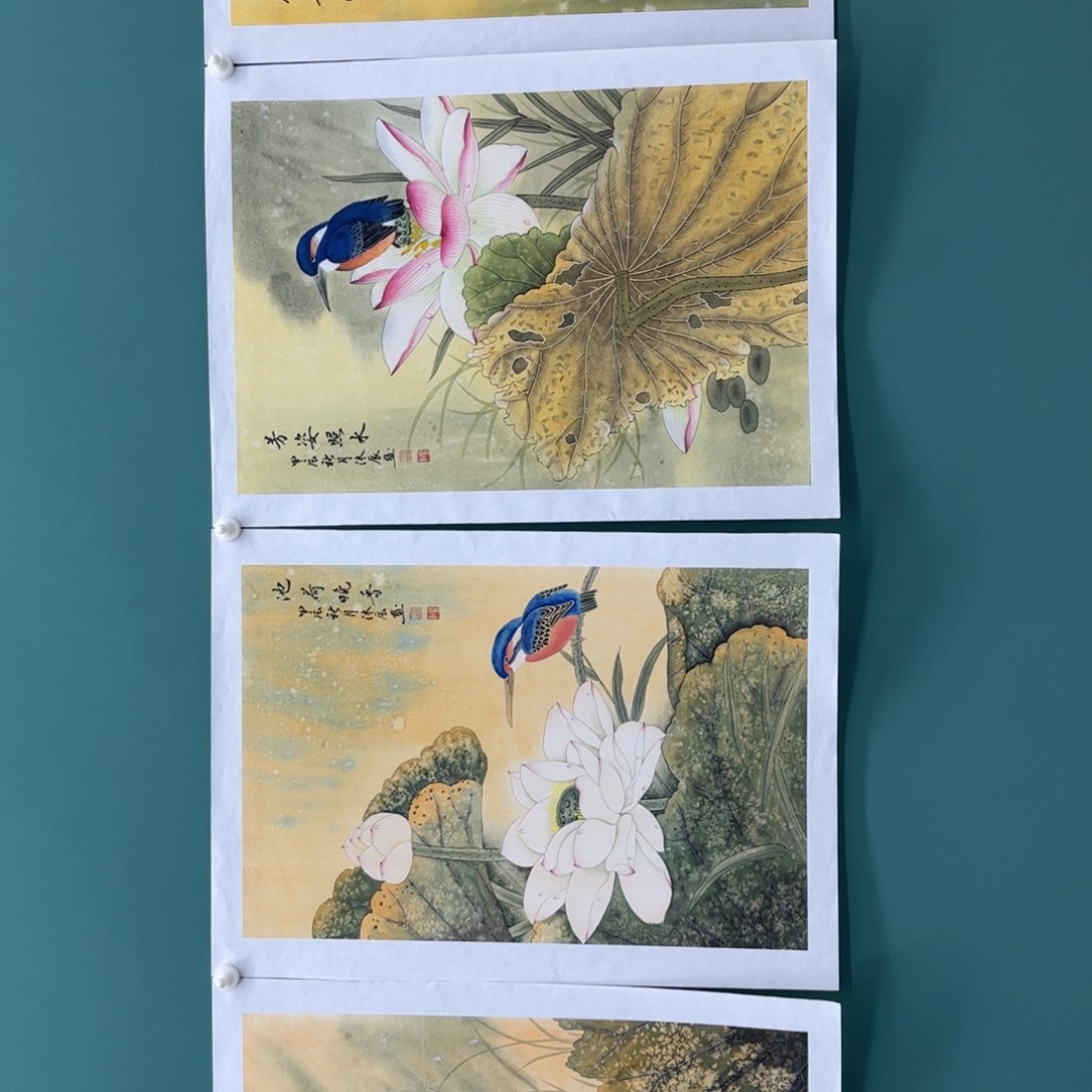 国画你****。画画画画画画画