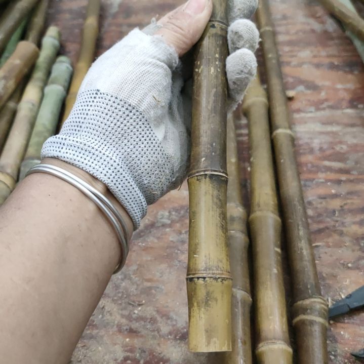 哥***鱼实心玉竹手把件金条料