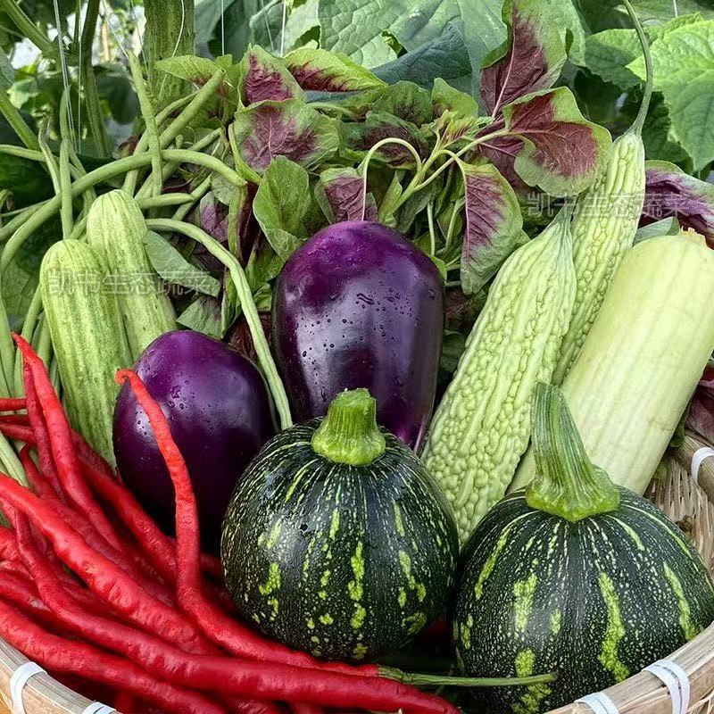 农家种植山货蔬菜干货组合