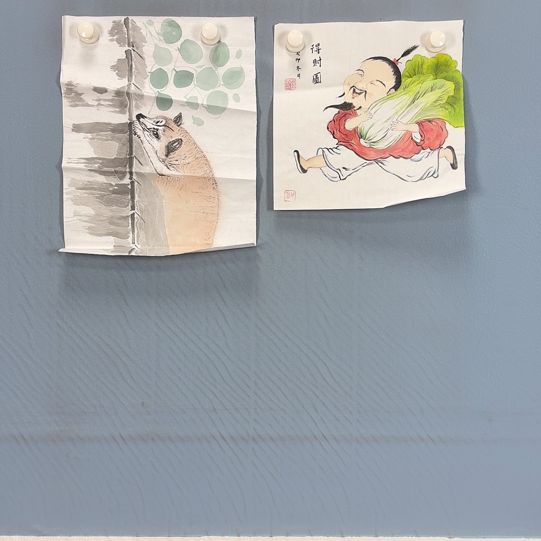 国画209 牡丹一如您初来乍到