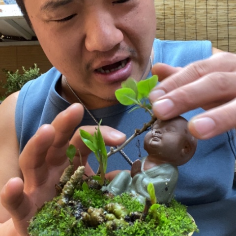 红陶一物一拍所见即所得101