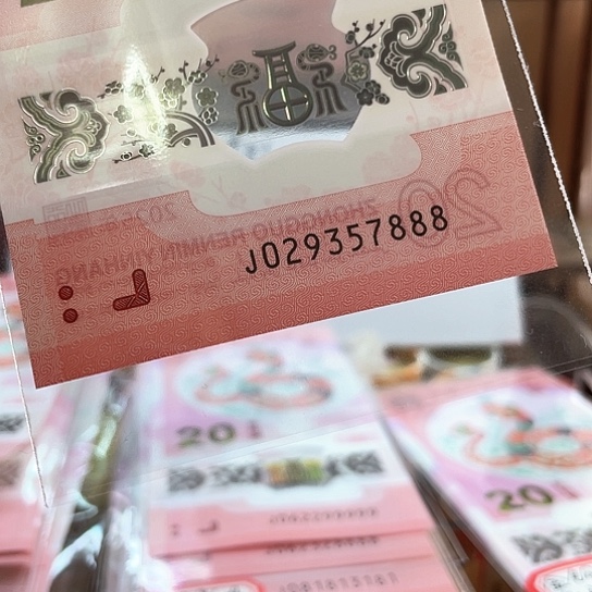 塑料小蛇钞029357888 豹子号