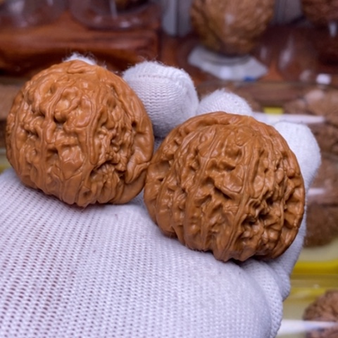 文玩核桃把件白狮子