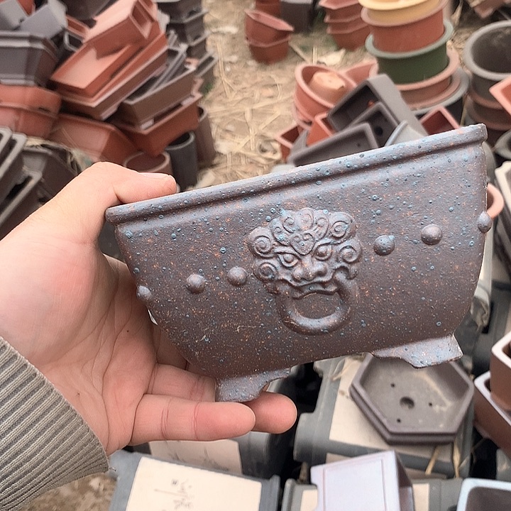 紫砂我要不就是你一