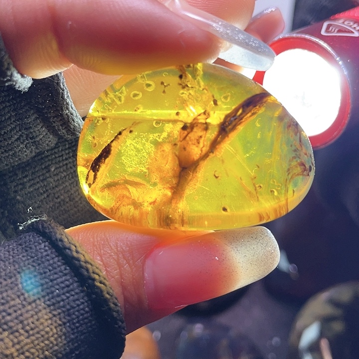 琥珀裸石未镶嵌？