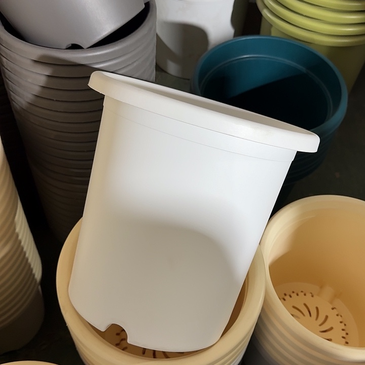 微瑕7#白色6个无托