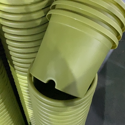 树脂四季3号果绿无托10个微瑕