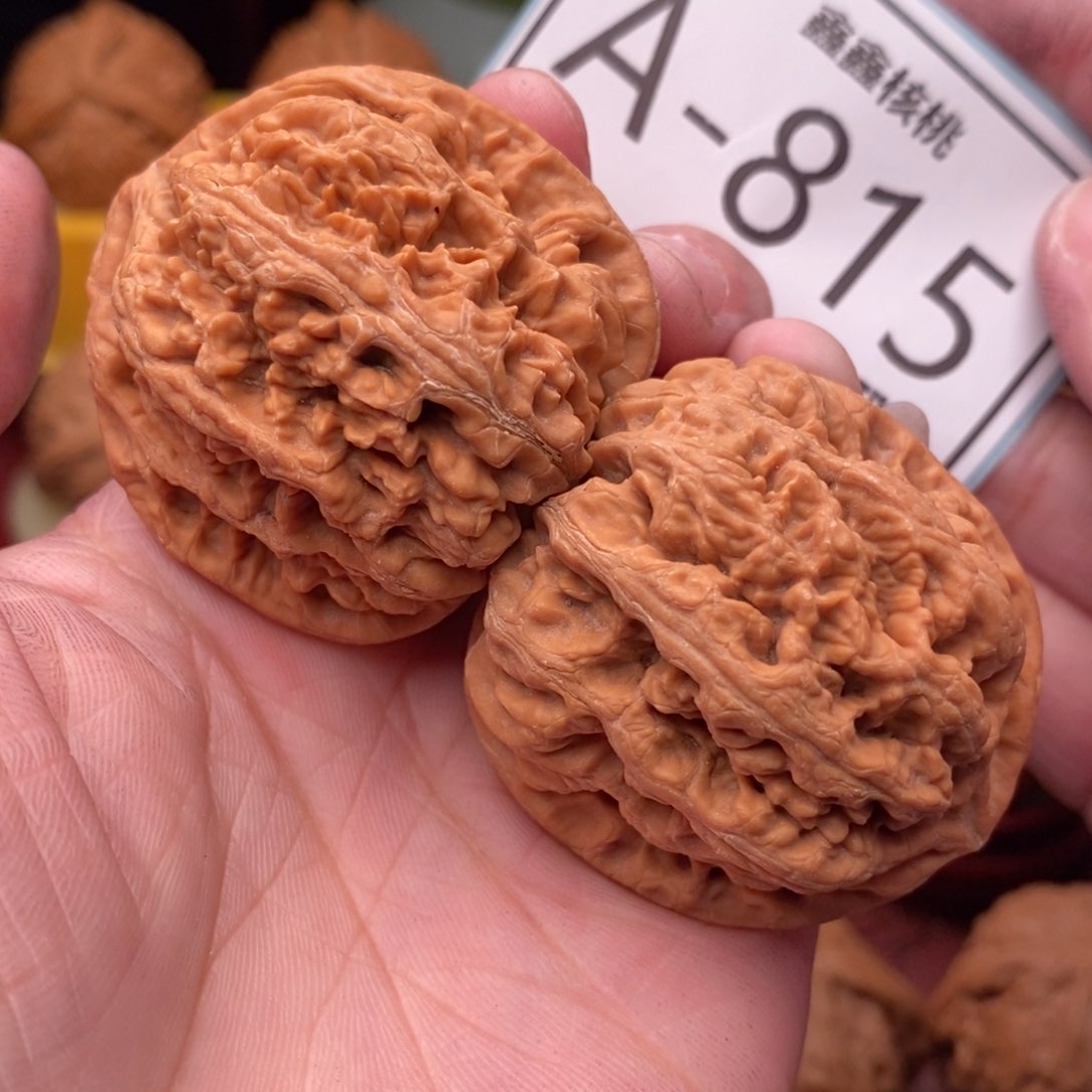 文玩核桃把件粗筋41