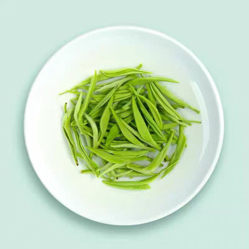 核心产区信阳毛尖明前头采春茶浓香型绿茶耐泡型茶叶礼盒装250g