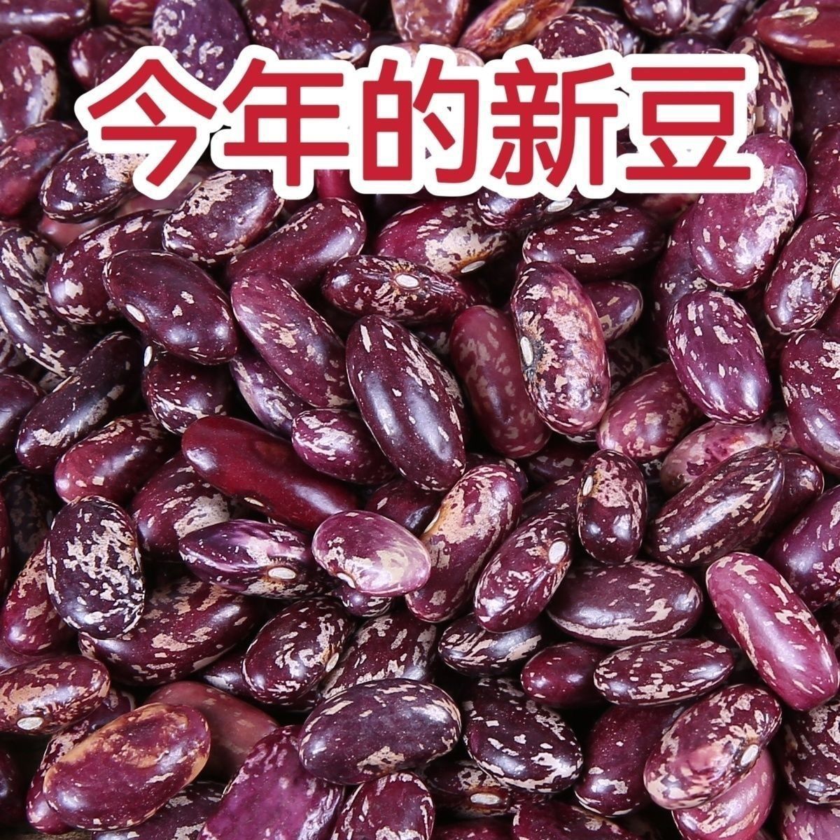 贵州紫花新豆饭豆芸豆花豆四季豆五谷杂粮豆米酸菜红花豆