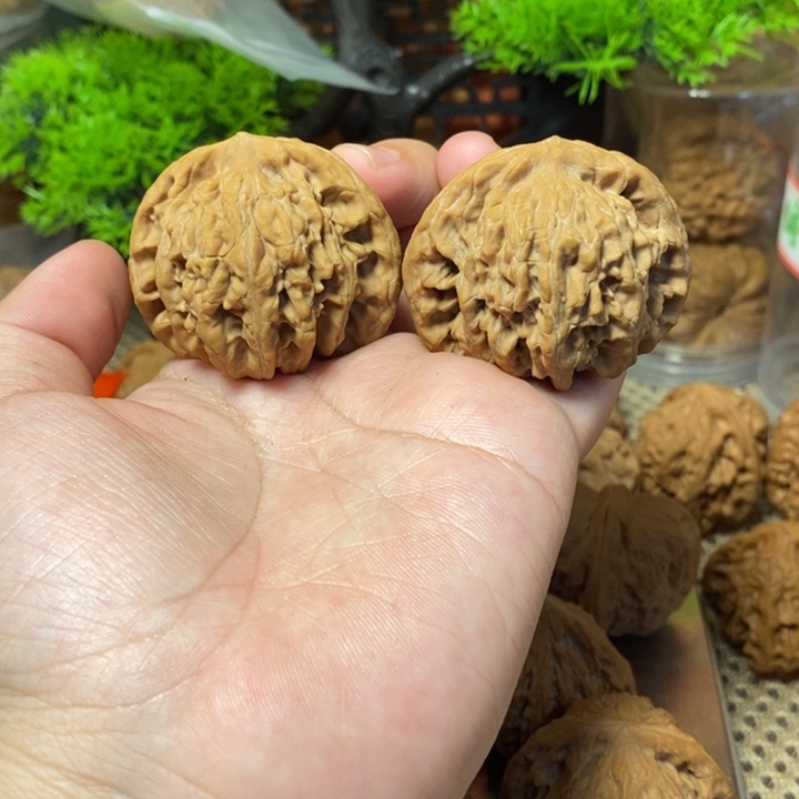 核桃手串/手链盘龙虎头43尖有点嗑