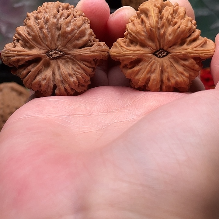 卿***林物美价廉物美价廉