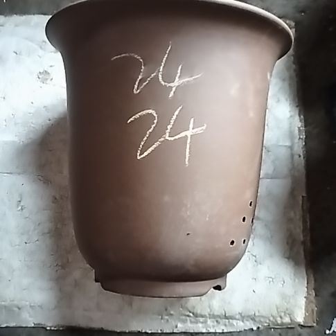 特大金钟一个花盆