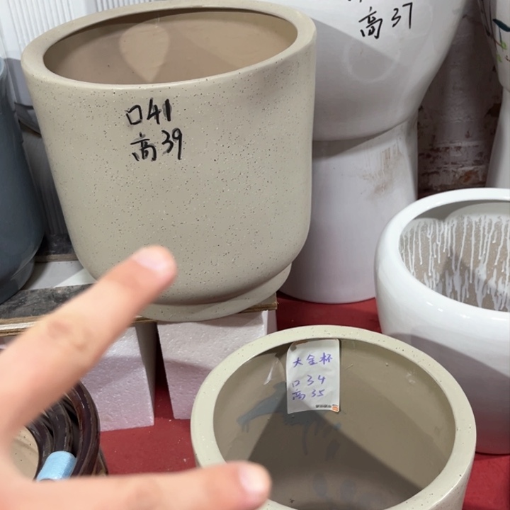 大金杯大号加中号花盆