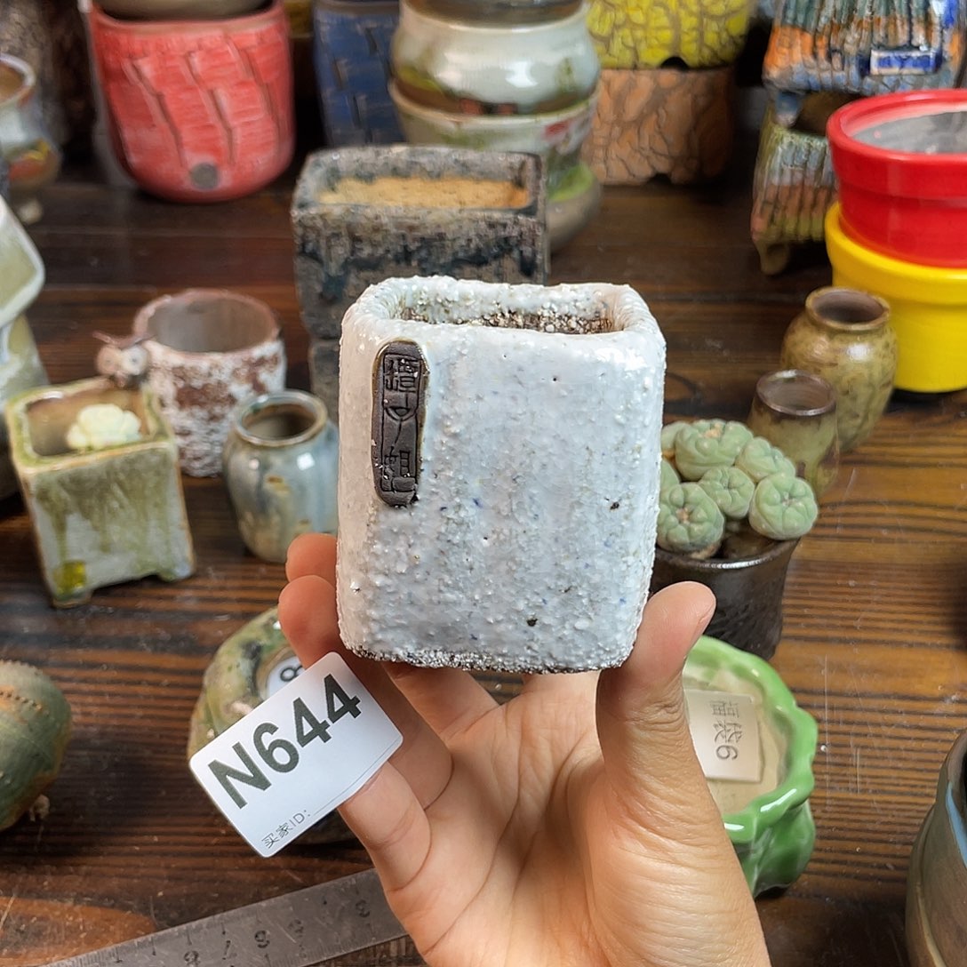 坛子姐花盆 双十二限时福利！默认微次！