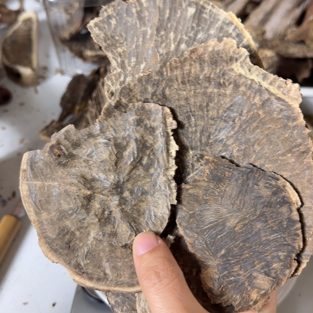 沉香碎屑沉香香港老顶46克