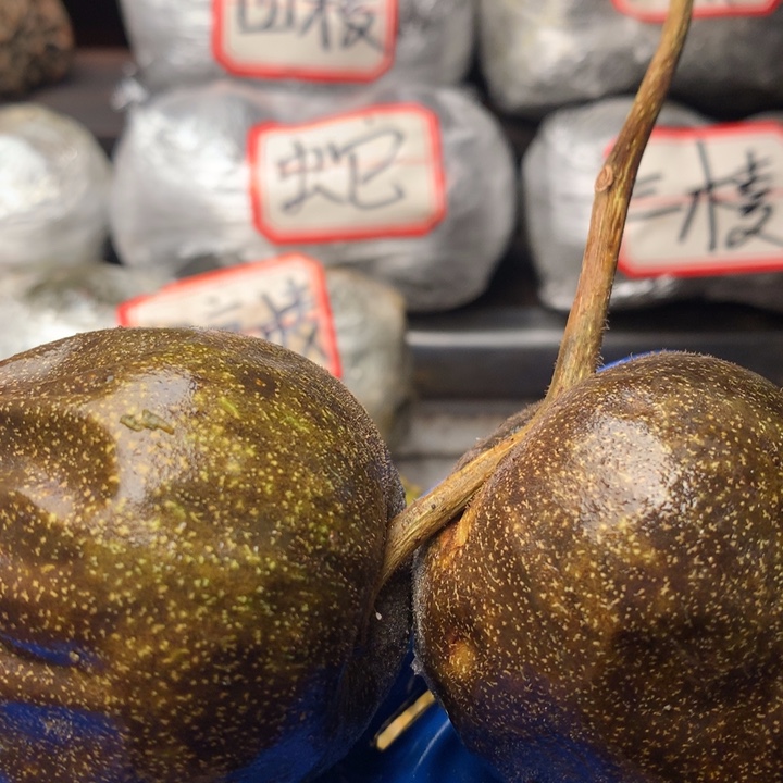 游***练大叶紫檀（黑酸枝木类）