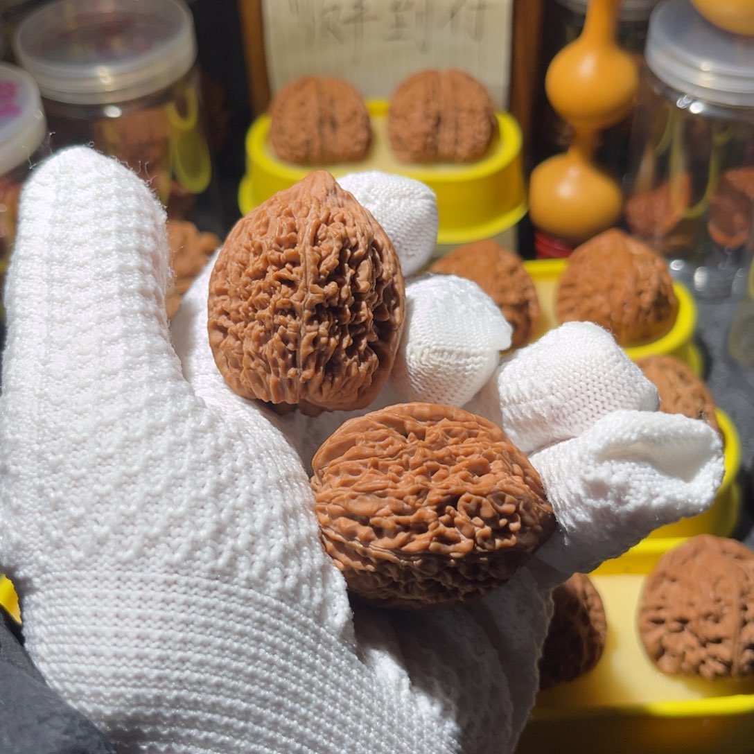 文玩核桃把件华**床36.5大蒜头