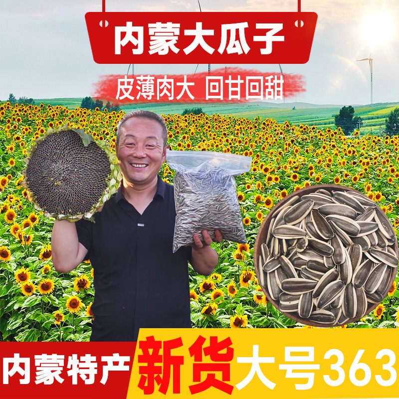 2025年内蒙古原味生瓜子大颗粒363饱满葵花籽休闲零食产地直发