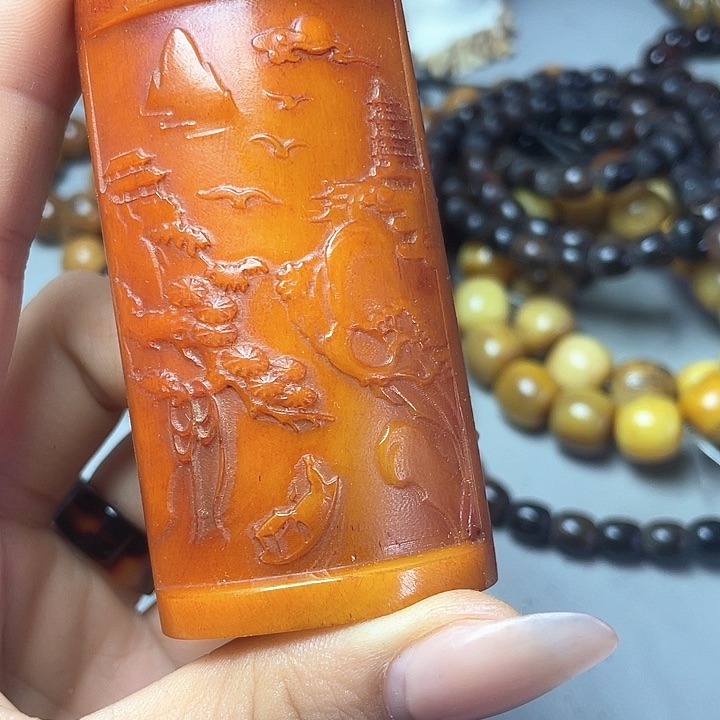 大果紫檀（缅甸花梨）