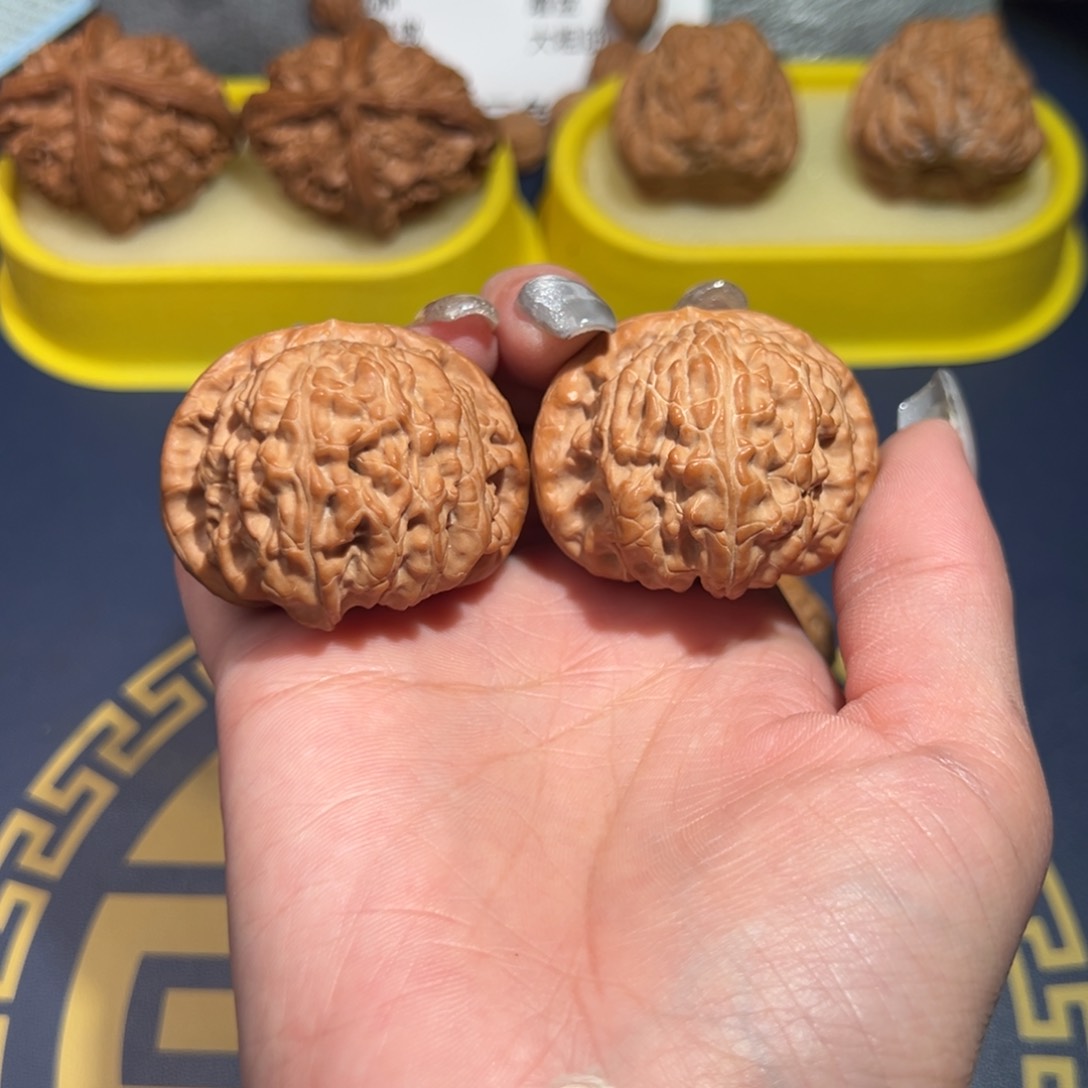 文玩核桃把件白狮子42.8