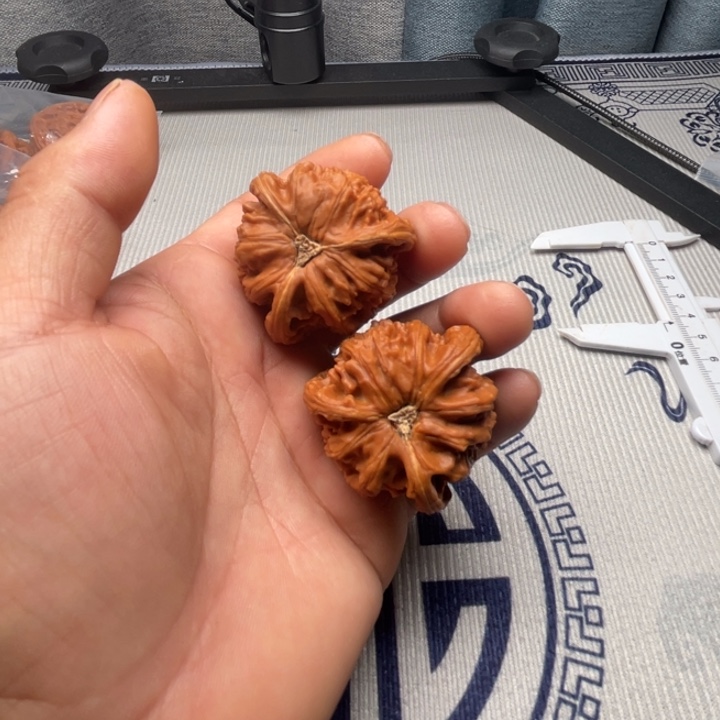 阿***蕾吊坠文玩核桃三棱三棱三棱三棱