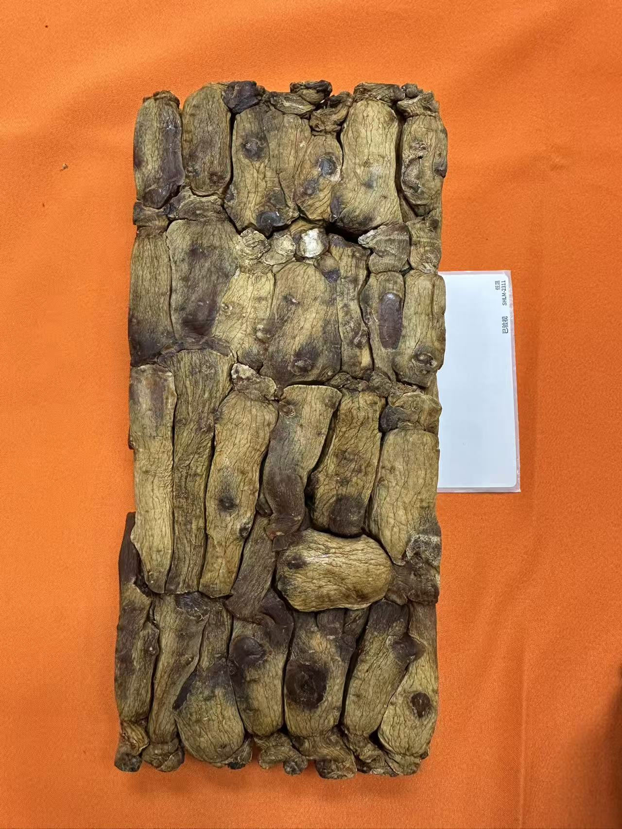 黄马褂高丽参切参600g