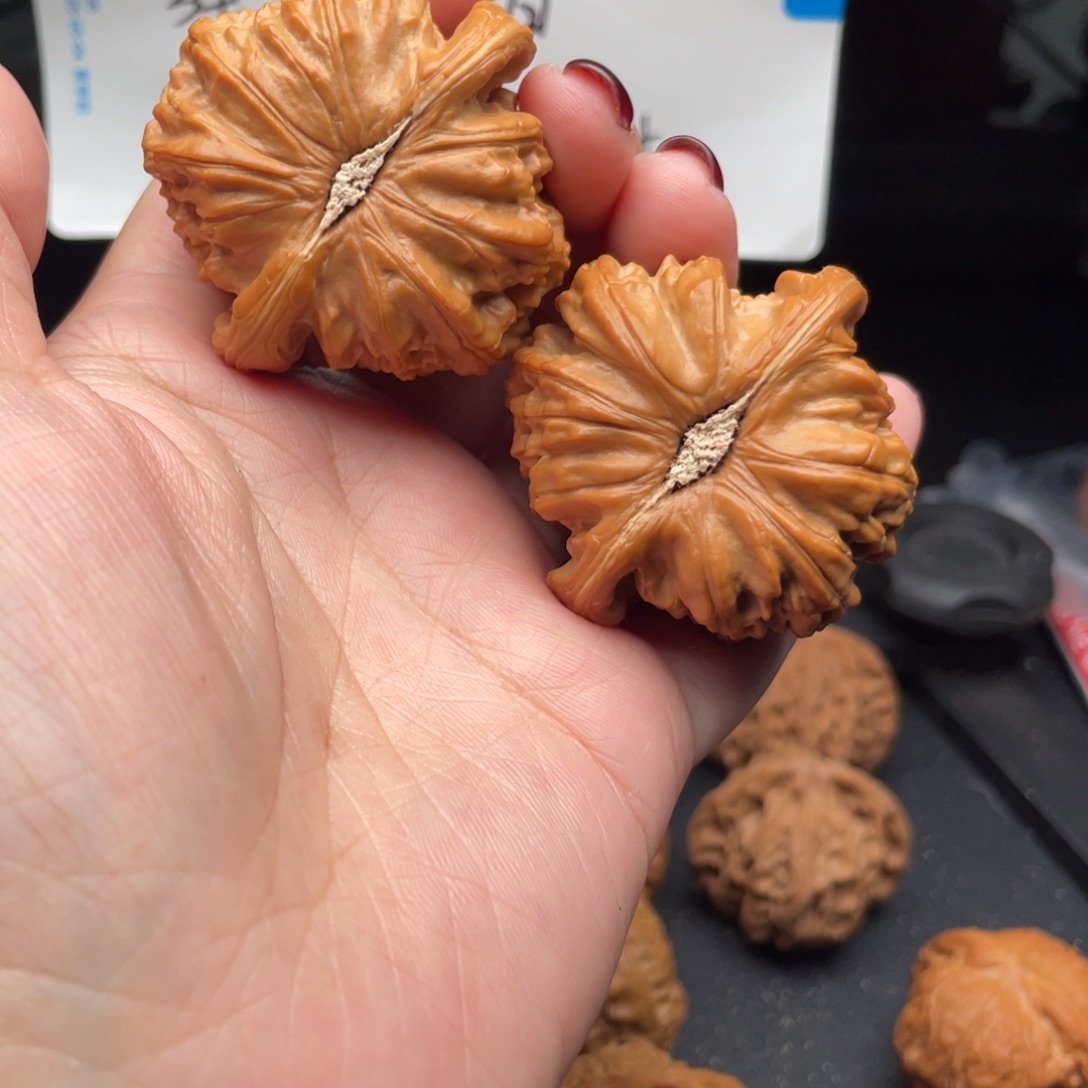 把件文玩核桃白狮子微修