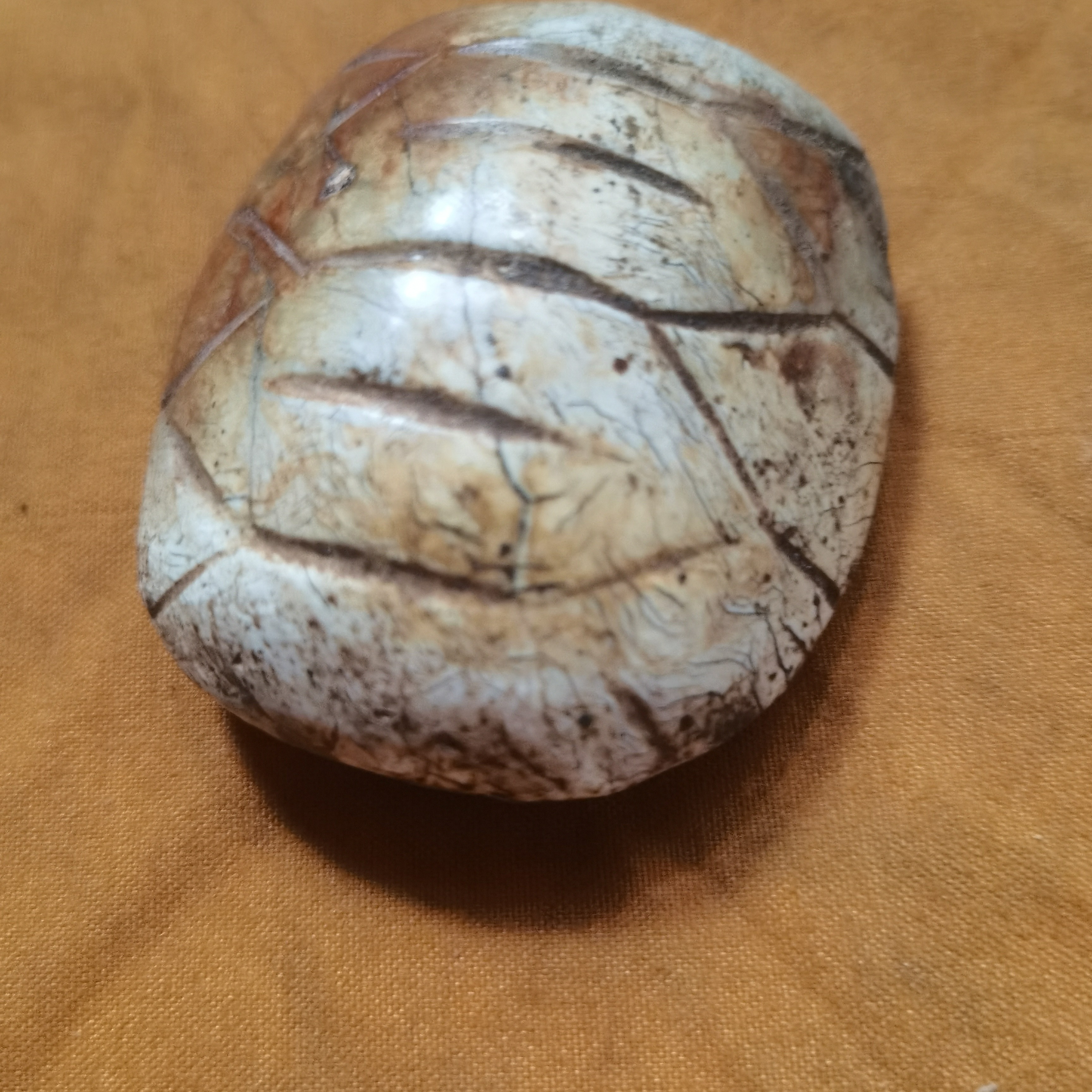 瓷瓷瓷瓷瓷瓷瓷瓷