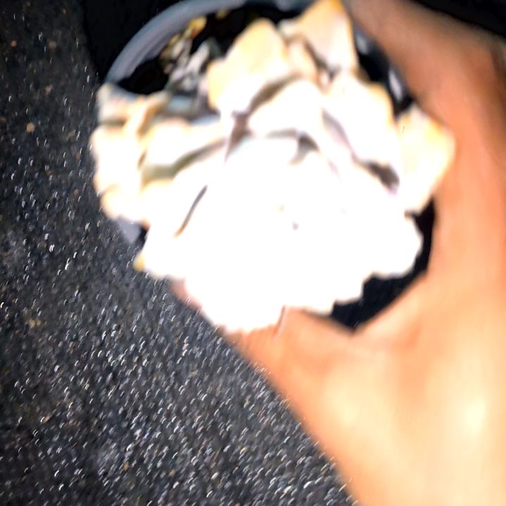 满6元包邮，大白饺子皮老苗