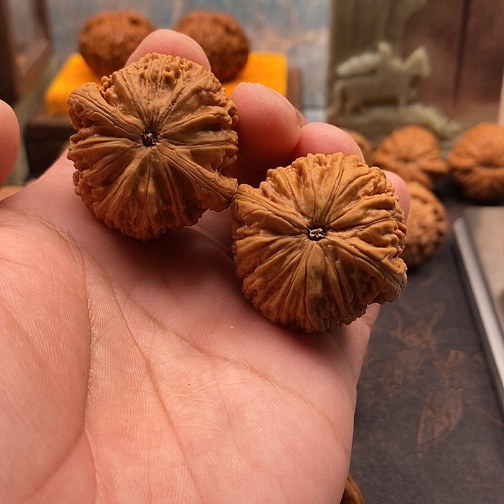 文玩核桃把件蛟龙（点修）