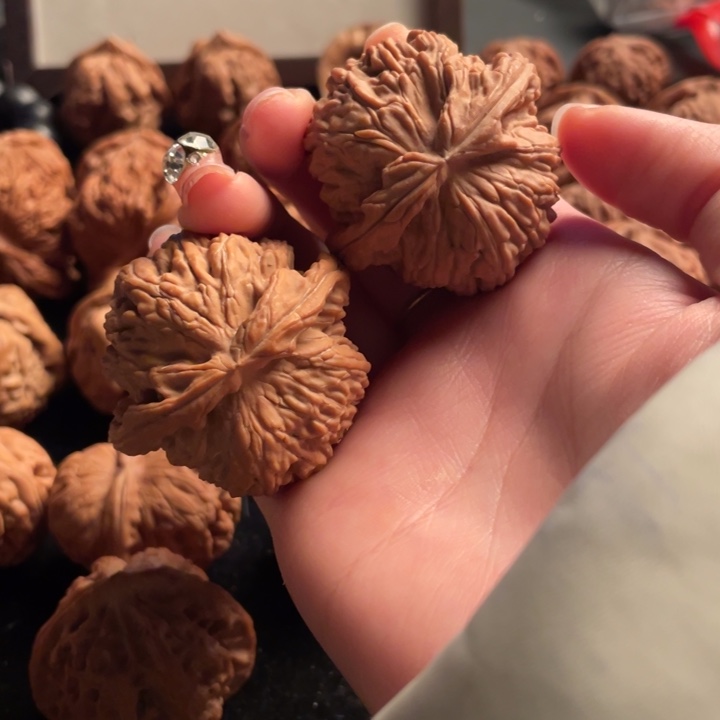 大叶紫檀（黑酸枝木类）