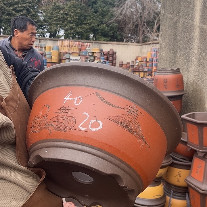 紫砂紫砂花盆盆栽