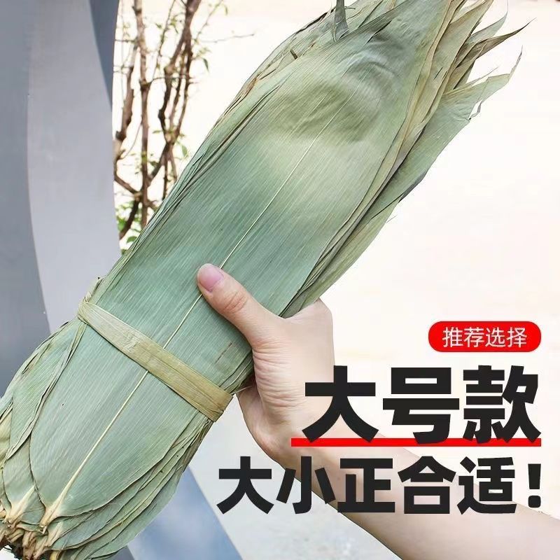 自然生长干粽叶大宽叶端午节包粽子商用新鲜高山野生竹叶晒干粽叶