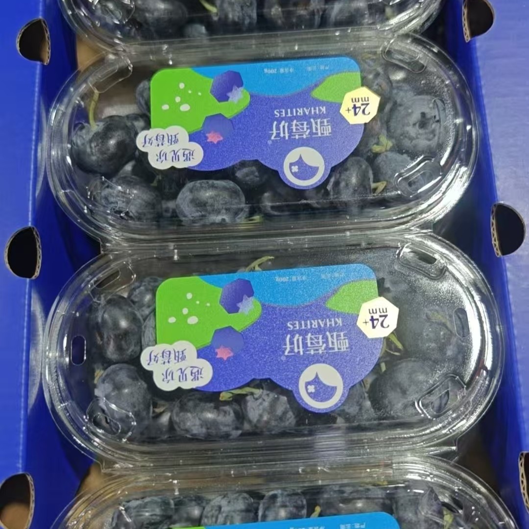 云南山地鲜蓝莓 200g云南省